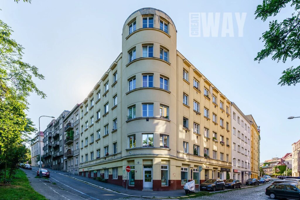 PŮDNÍ MEZONETOVÁ VESTAVBA VEDLE PARKU JEZERKA