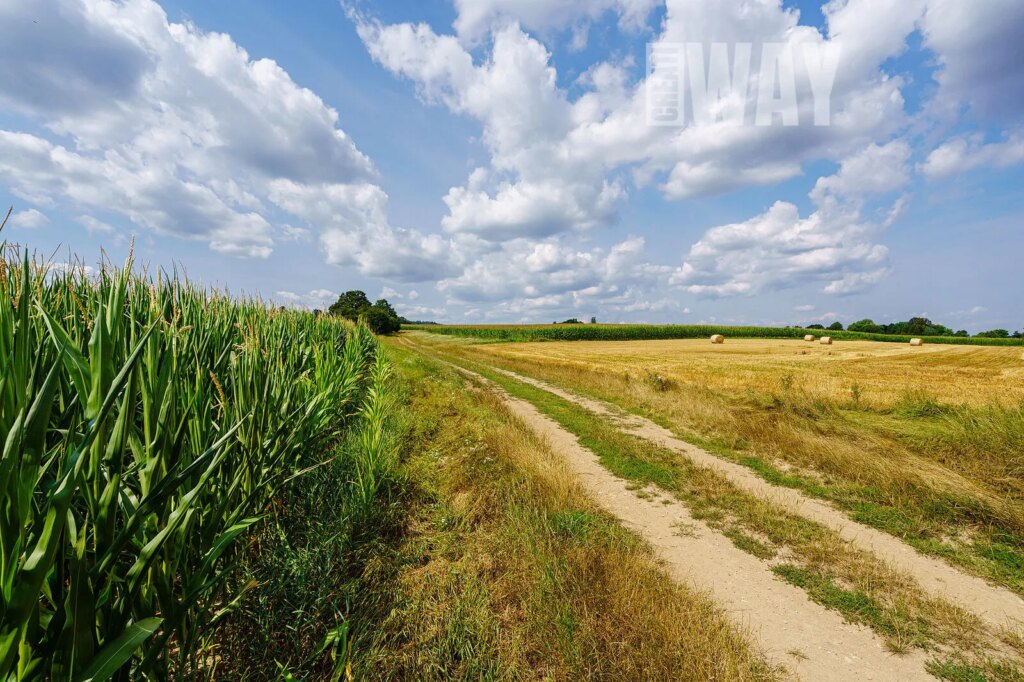 Dobrošovice – Jesenice pozemek na bydlení
