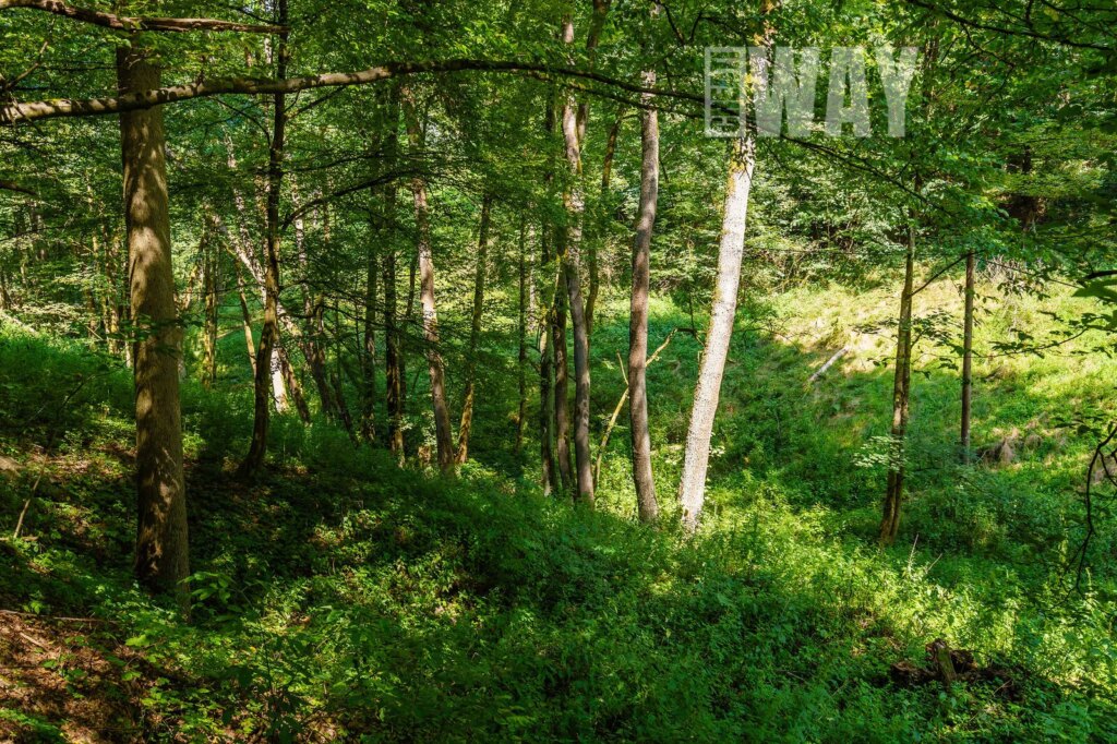 Roubenka Ondříkovice