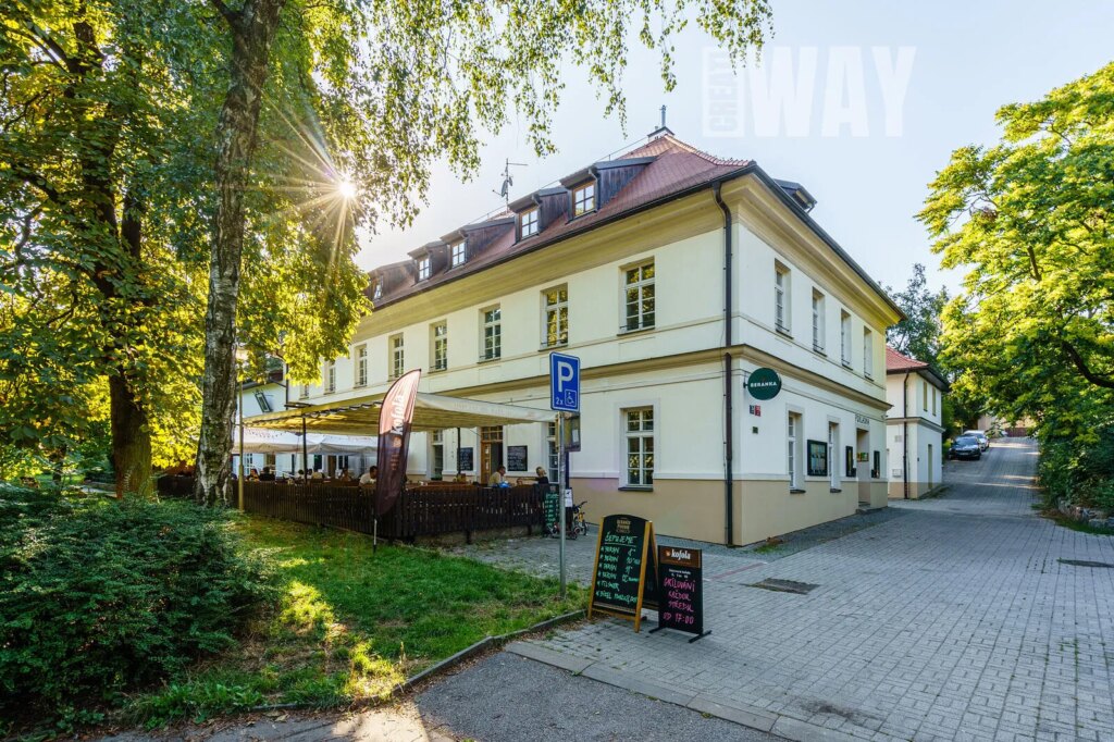 PŮDNÍ MEZONETOVÁ VESTAVBA VEDLE PARKU JEZERKA