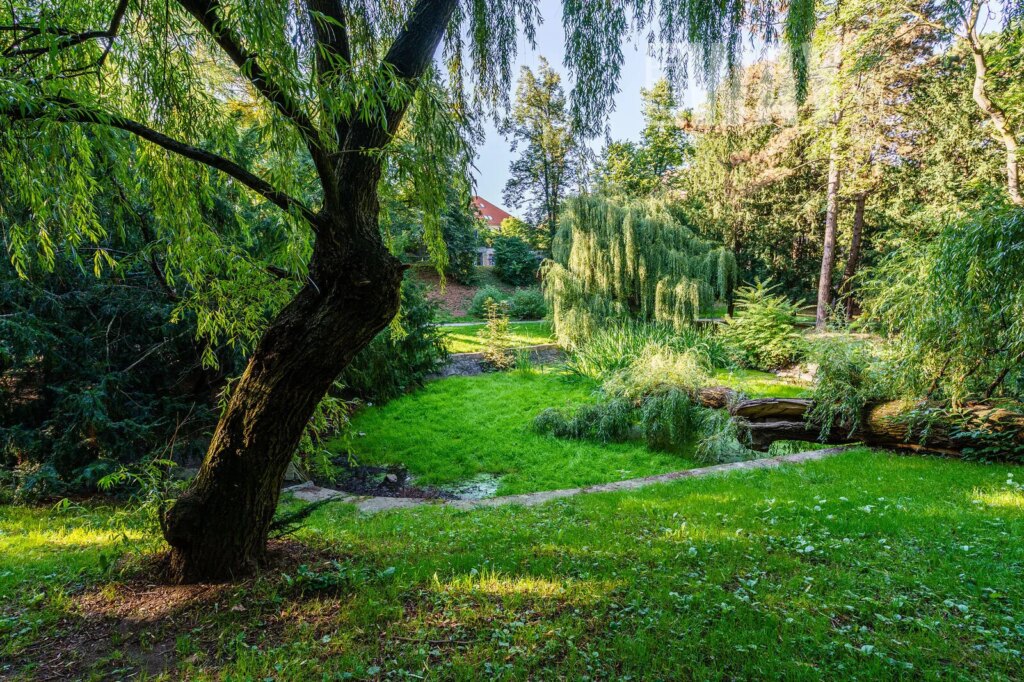 PŮDNÍ MEZONETOVÁ VESTAVBA VEDLE PARKU JEZERKA