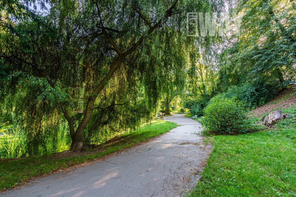 PŮDNÍ MEZONETOVÁ VESTAVBA VEDLE PARKU JEZERKA