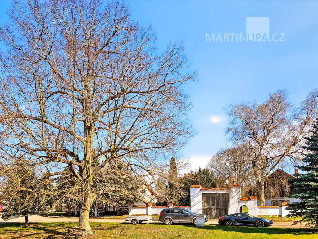 Dolní Stakory – Špýcharový dvorec ke kompletní rekonstrukci