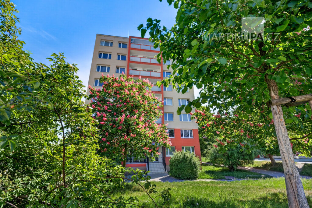 2+1 Na Úlehli