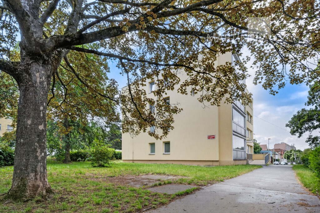 3+1/L Litvínovská