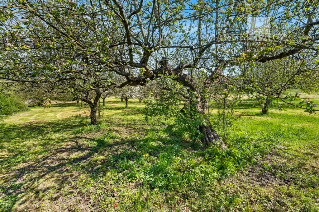 Hostěradice – pozemek 880m2 73/9, 73/6